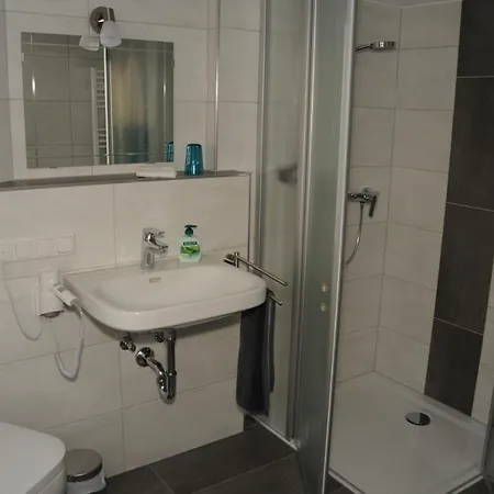 Hotel Landgasthof Und Zum Loewen 3*